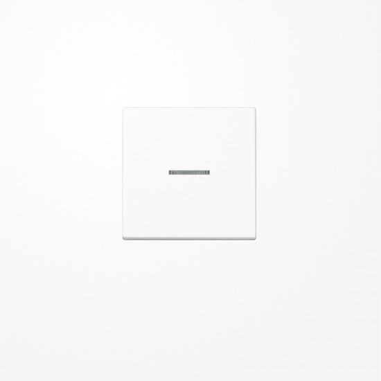 Jung A590BFKO5WW Wippe mit Lichtleiter, Thermoplast, Serie A, alpinweiß