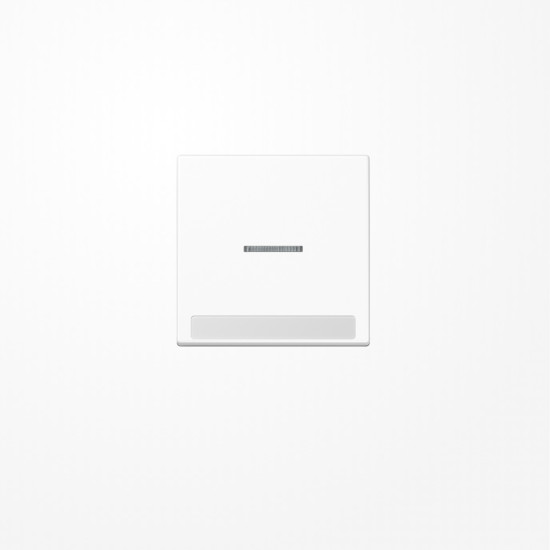 Jung A590BFNAKO5WW Wippe mit Lichtleiter, mit Schriftfeld, Thermoplast, Serie A, alpinweiß