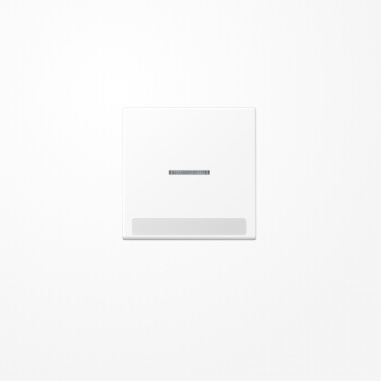 Jung A590BFNAKO5WWM Wippe mit Lichtleiter, mit Schriftfeld, Thermoplast lackiert, Serie A, schneeweiß matt