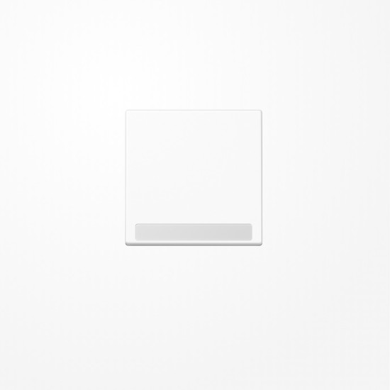 Jung A590BFNAWW Wippe, mit Schriftfeld, Thermoplast, Serie A, alpinweiß