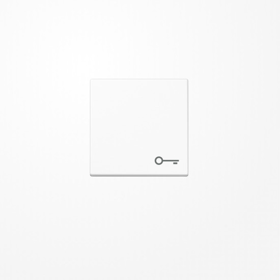 Jung A590BFTWW Wippe, Symbol Tür, Thermoplast, Serie A, alpinweiß