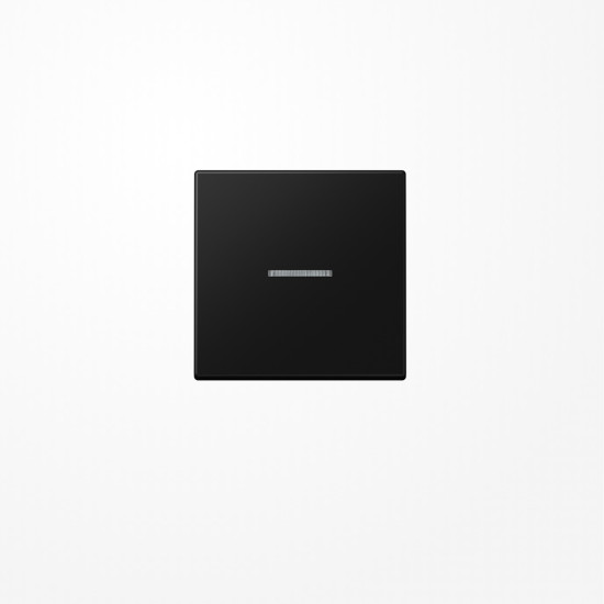 Jung A590KO5SWM Wippe mit Lichtleiter, Duroplast lackiert, Serie A, graphitschwarz matt