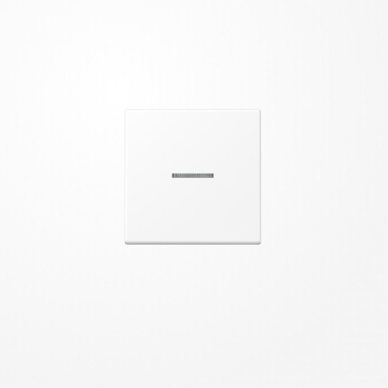 Jung A590KO5WWM Wippe mit Lichtleiter, Duroplast lackiert, Serie A, schneeweiß matt