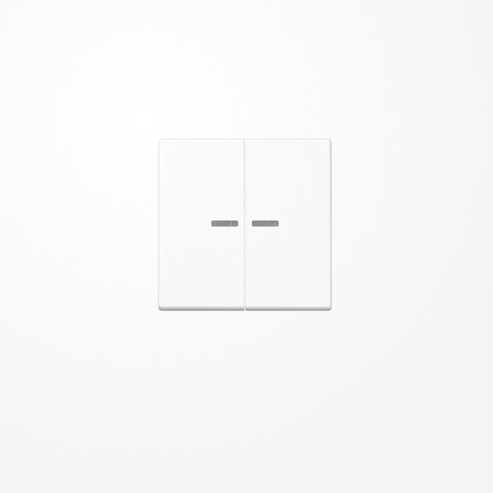 Jung A595KO5WW Wippe mit Lichtleiter, Duroplast, Serie A, alpinweiß