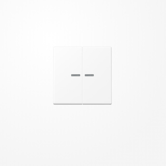 Jung A595KO5WWM Wippe mit Lichtleiter, Duroplast lackiert, Serie A, schneeweiß matt