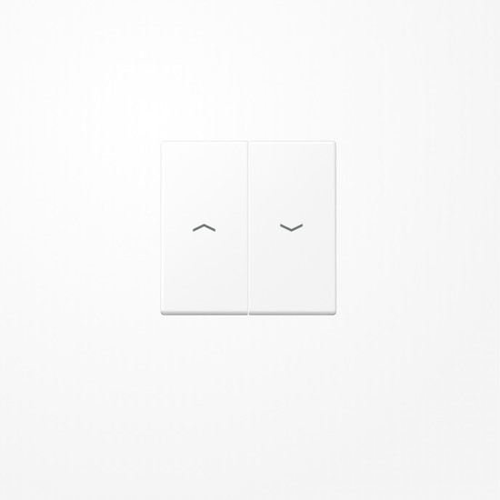 Jung A595PWWM Wippe, mit Pfeilsymbolen, Duroplast lackiert, Serie A, schneeweiß matt