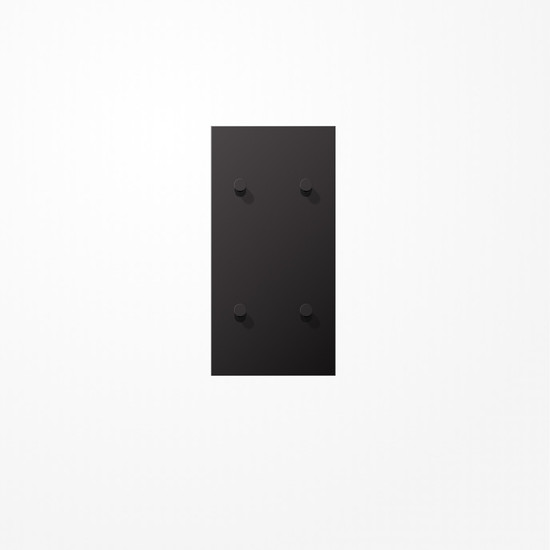 Jung AL12-25DK01 Abdeckung mit Kipphebel Kegel, 2x2 Kipphebel, senkrecht, Serie LS 1912, dark (lackiertes Aluminium)