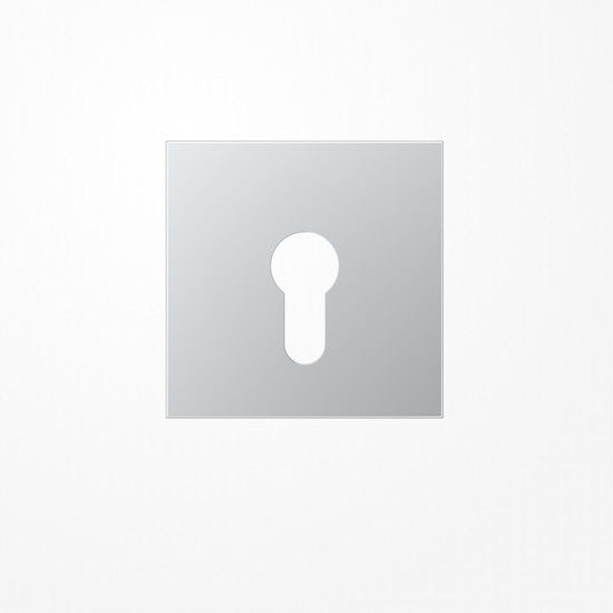 Jung AL2925 Abdeckung für Schlüsselschalter ohne Demontageschutz, Serie LS, Aluminium