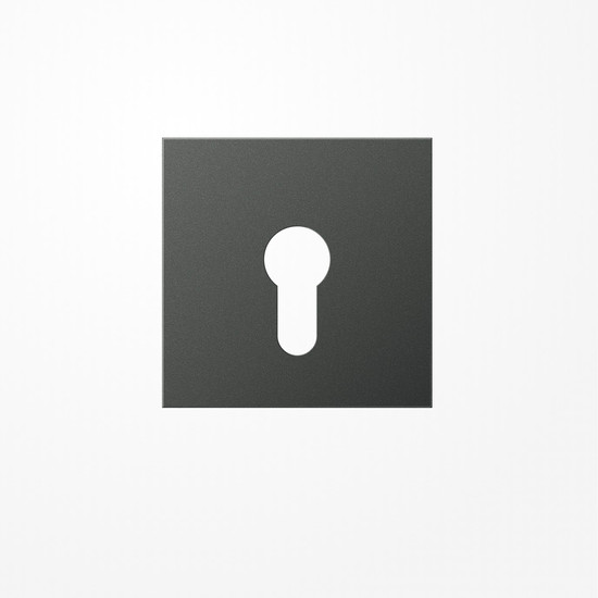 Jung AL2925AN Abdeckung für Schlüsselschalter ohne Demontageschutz, Aluminium lackiert, Serie LS, anthrazit