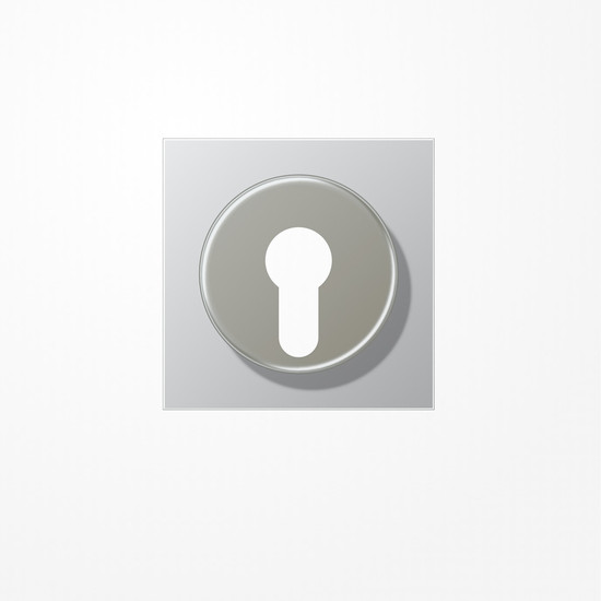 Jung AL2928 Abdeckung für Schlüsselschalter mit Demontageschutz, Serie LS, Aluminium