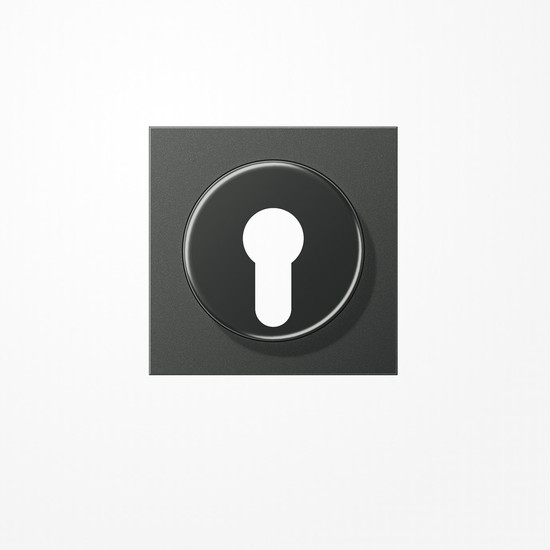 Jung AL2928AN Abdeckung für Schlüsselschalter mit Demontageschutz, Aluminium lackiert, Serie LS, anthrazit