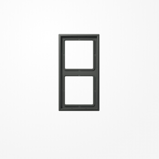 Jung AL2982AN Rahmen 2fach, senkrechte und waagerechte Montage, Aluminium lackiert, LS 990, anthrazit (lackiertes Aluminium)