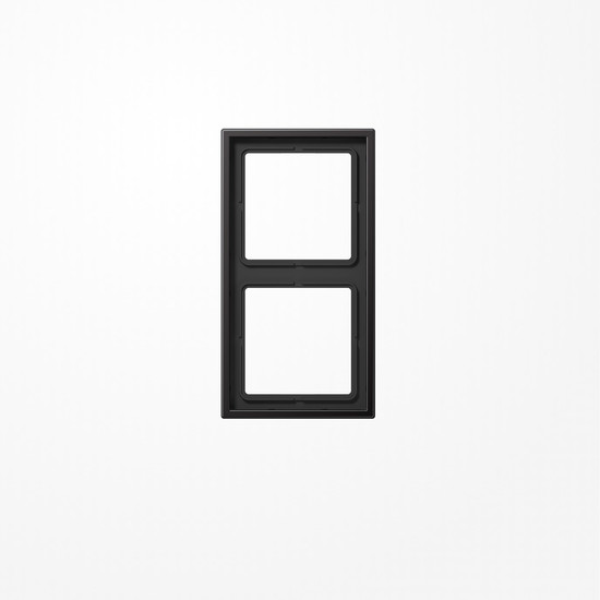 Jung AL2982D Rahmen 2fach, senkrechte und waagerechte Montage, Aluminium lackiert, LS 990, dark (lackiertes Aluminium)