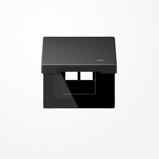 Jung AL2990KLLANAN Klappdeckel mit Rückstellfeder, mit Symbol LAN, senkrechte und waagerechte Montage, Serie LS, anthrazit