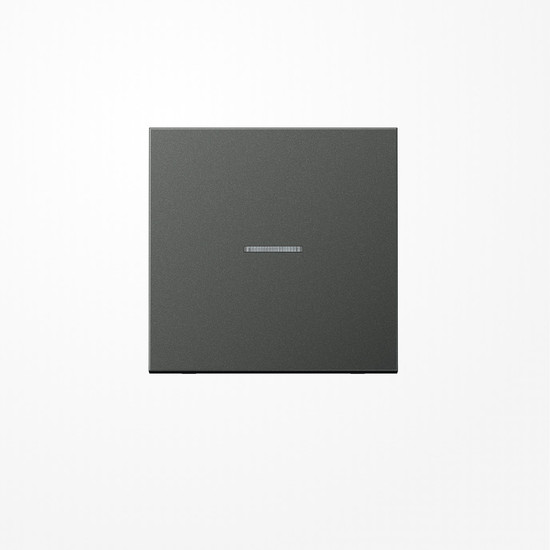 Jung AL2990KO5AN Wippe mit Lichtleiter, Aluminium lackiert, Serie LS, anthrazit