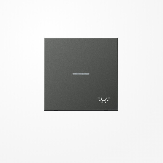 Jung AL2990KO5LAN Wippe mit Lichtleiter, Symbol Licht, Aluminium lackiert, Serie LS, anthrazit