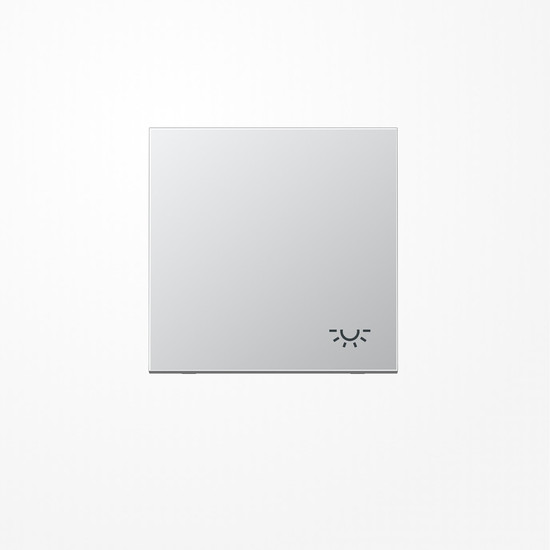 Jung AL2990L Wippe, Symbol Licht, Serie LS, Aluminium