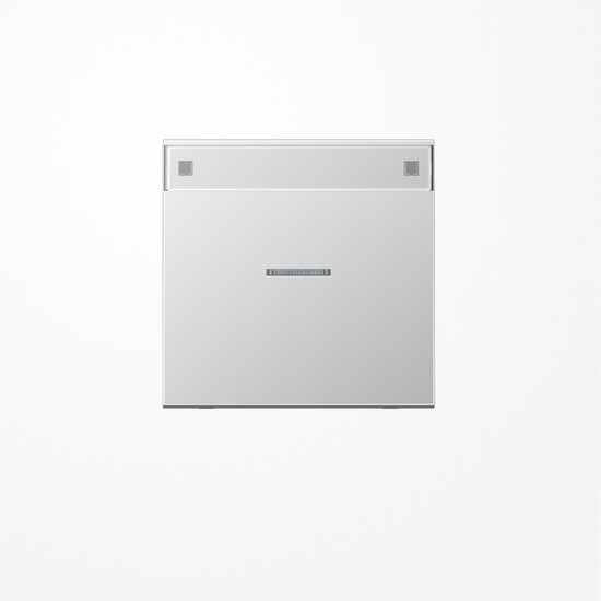 Jung AL2990NAKO5 Wippe mit Lichtleiter, mit Schriftfeld, Serie LS, Aluminium