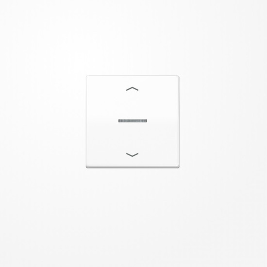 Jung AS101KO5PWW Wippe mit Lichtleiter, mit Pfeilsymbolen für Taster 1fach, Duroplast, F10, Serie AS, alpinweiß