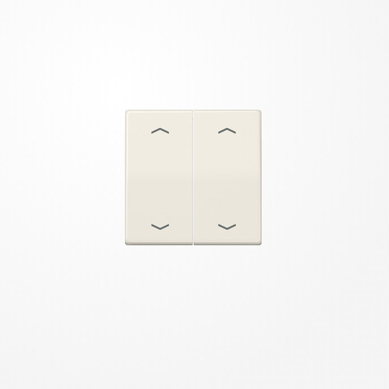 Jung AS102P Wippe, mit Pfeilsymbolen für Taster 2fach, Duroplast, F10, Serie AS, weiß