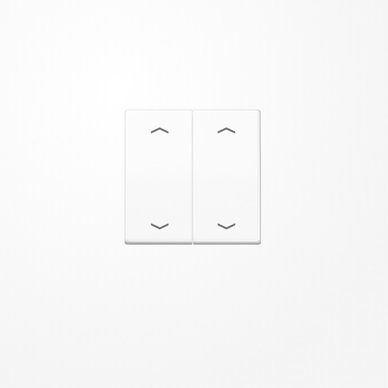 Jung AS102PWW Wippe, mit Pfeilsymbolen für Taster 2fach, Duroplast, F10, Serie AS, alpinweiß