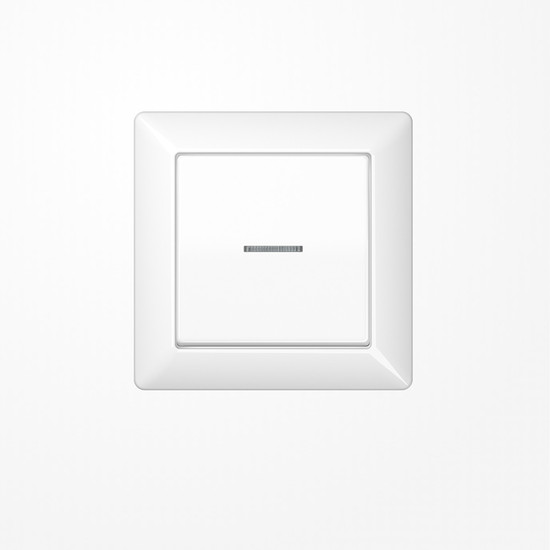 Jung AS590KO5WW Wippe mit Rahmen mit Lichtleiter, Duroplast, Serie AS, alpinweiß