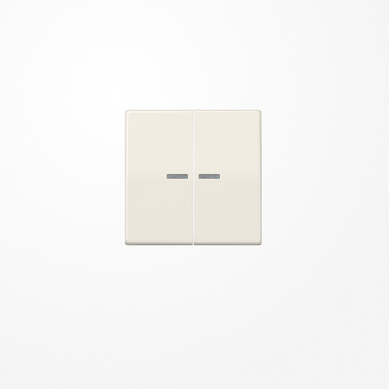 Jung AS591-5KO5 Wippe mit Lichtleiter, Duroplast, Serie AS, weiß