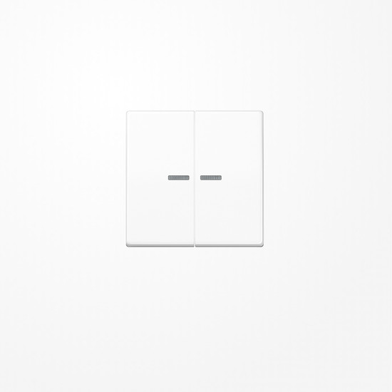 Jung AS591-5KO5BFWW Wippe mit Lichtleiter, Thermoplast, Serie AS, alpinweiß