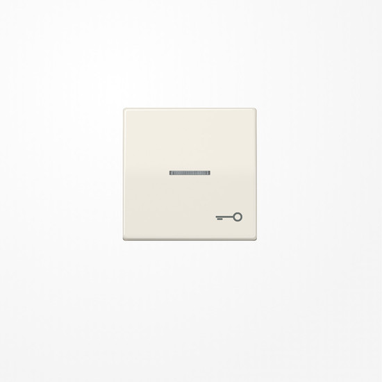 Jung AS591KO5T Wippe mit Lichtleiter, Symbol Tür, Duroplast, Serie AS, weiß