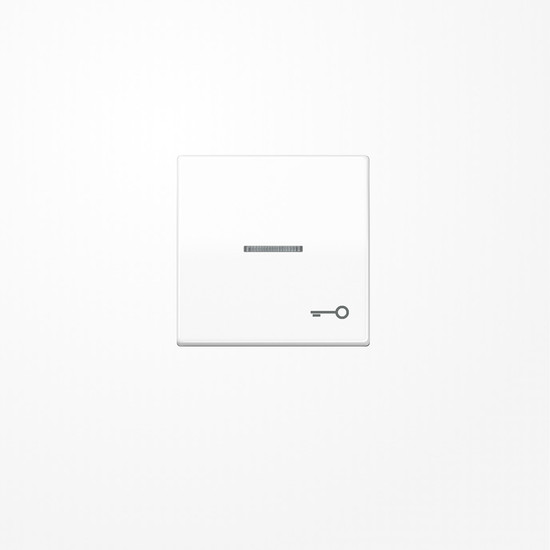 Jung AS591KO5TWW Wippe mit Lichtleiter, Symbol Tür, Duroplast, Serie AS, alpinweiß