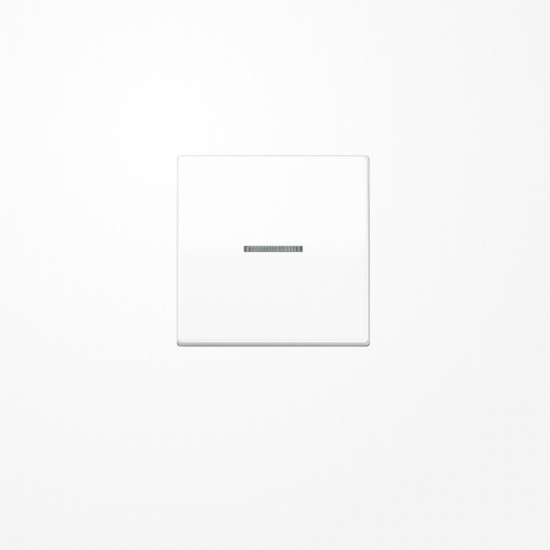 Jung AS591KO5WW Wippe mit Lichtleiter, Duroplast, Serie AS, alpinweiß