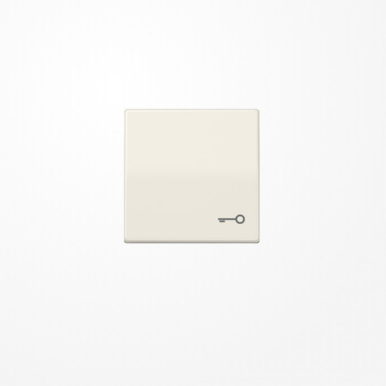 Jung AS591T Wippe, Symbol Tür, Duroplast, Serie AS, weiß