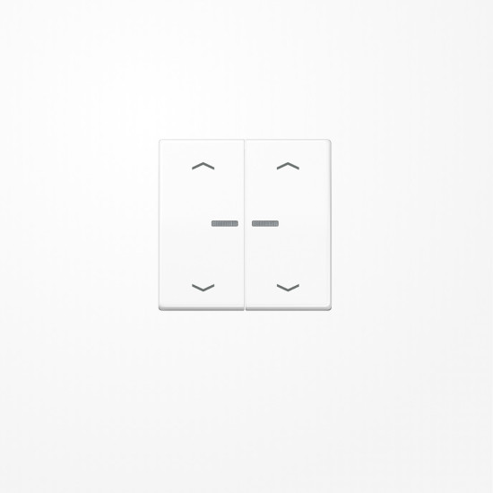 Jung BTA17102PWW JUNG HOME Taster 2fach, mit Pfeilsymbolen, Duroplast, Serie A, alpinweiß