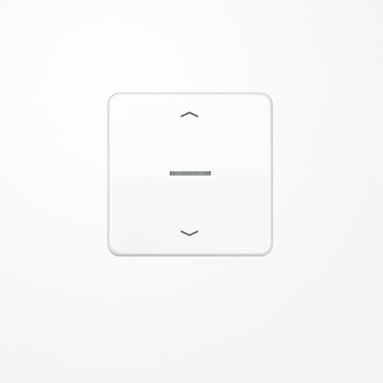 Jung BTCD17101PWW JUNG HOME Taster 1fach, mit Pfeilsymbolen, Duroplast, Serie CD, alpinweiß