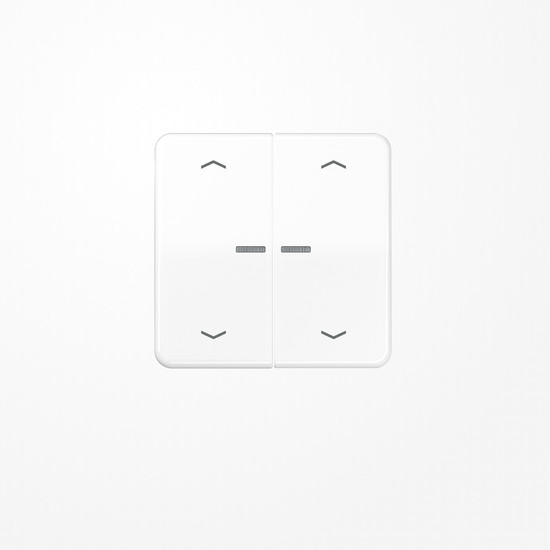 Jung BTCD17102PWW JUNG HOME Taster 2fach, mit Pfeilsymbolen, Duroplast, Serie CD, alpinweiß