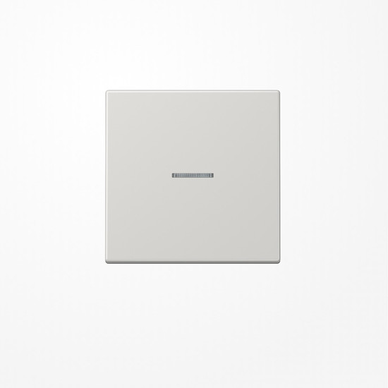 Jung BTLS17101LG JUNG HOME Taster 1fach, Duroplast, Serie LS, lichtgrau