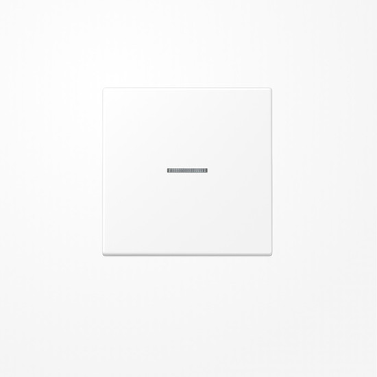 Jung BTLS17101WWM JUNG HOME Taster 1fach, Duroplast lackiert, Serie LS, schneeweiß matt