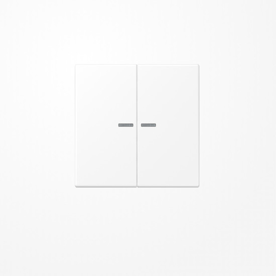 Jung BTLS17102WWM JUNG HOME Taster 2fach, Duroplast lackiert, Serie LS, schneeweiß matt