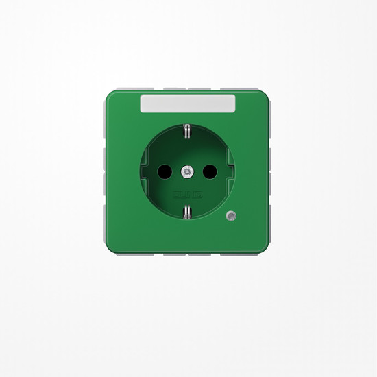 Jung CD1520BFNAKOGN SCHUKO-Steckdose, 16 A 250 V ~, mit Funktionsanzeige, mit Schriftfeld, SAFETY+, Thermoplast, Serie CD, grün (für SV)