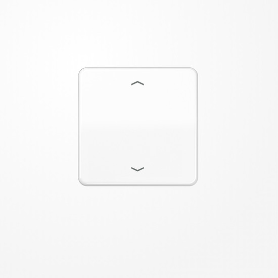 Jung CD1700PWW LB-Management Taster 1fach, mit Pfeilsymbolen, Duroplast, Serie CD, alpinweiß