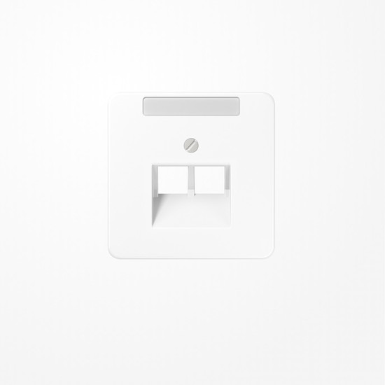 Jung CD569-2NAUAWW Abdeckung für IAE/UAE-Anschlussdosen, 2x8-polig, mit Schriftfeld, Serie CD, alpinweiß