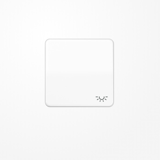 Jung CD590BFLWW Wippe, Symbol Licht, Thermoplast, Serie CD, alpinweiß