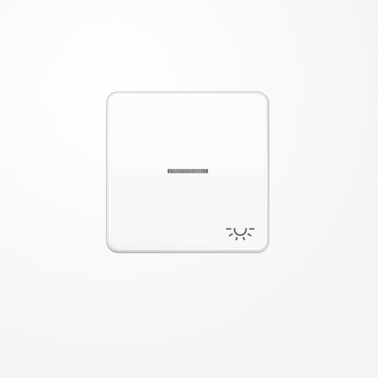 Jung CD590KO5LWW Wippe mit Lichtleiter, Symbol Licht, Duroplast, Serie CD, alpinweiß