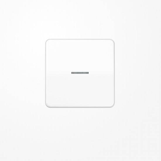 Jung CD590KO5WW Wippe mit Lichtleiter, Duroplast, Serie CD, alpinweiß