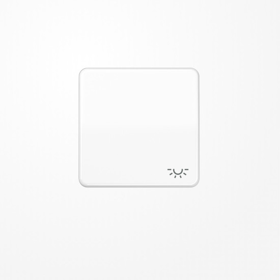 Jung CD590LWW Wippe, Symbol Licht, Duroplast, Serie CD, alpinweiß