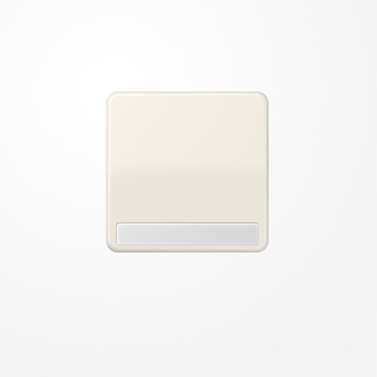 Jung CD590NA Wippe, mit Schriftfeld, Duroplast, Serie CD, weiß