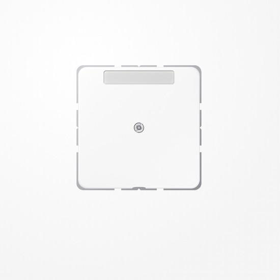 Jung CD590NAAWW Leitungsauslass mit Zugentlastung mit Schriftfeld, Duroplast, Serie CD, alpinweiß