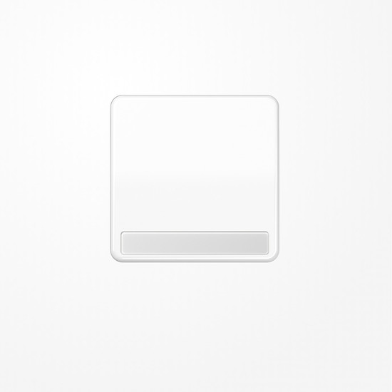 Jung CD590NABFWW Wippe, mit Schriftfeld, Thermoplast, Serie CD, alpinweiß