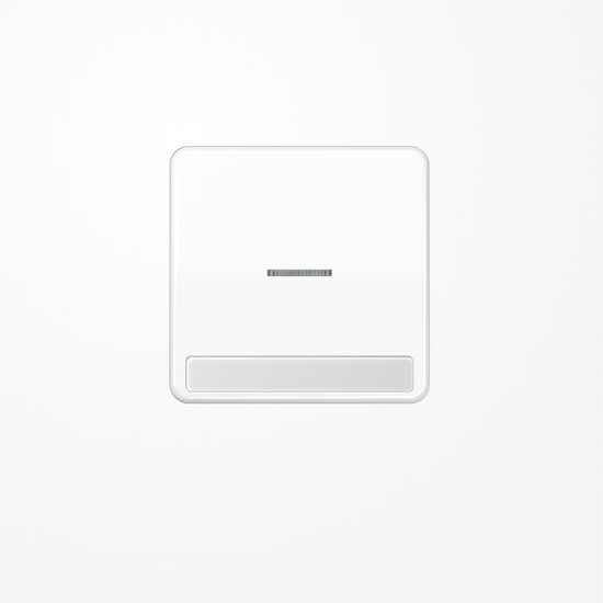 Jung CD590NAKO5WW Wippe mit Lichtleiter, mit Schriftfeld, Duroplast, Serie CD, alpinweiß