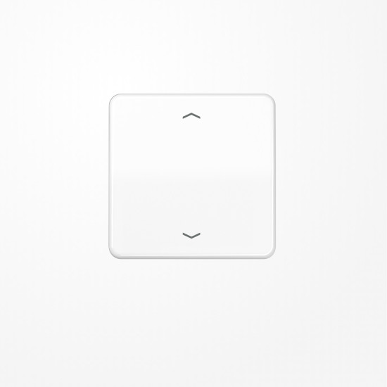 Jung CD590PWW Wippe, mit Pfeilsymbolen, Duroplast, Serie CD, alpinweiß